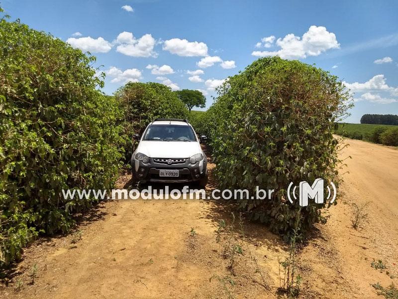 Homem é preso com veículo clonado