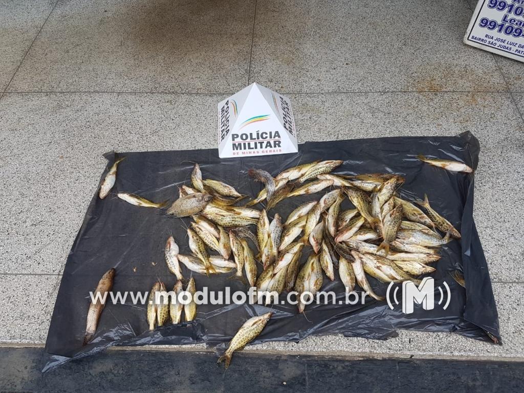 Imagem 1 do post Pescador é preso com peixes fora da medida