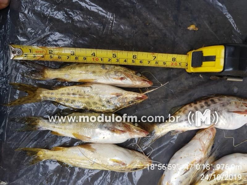 Pescador é preso com peixes fora da medida
