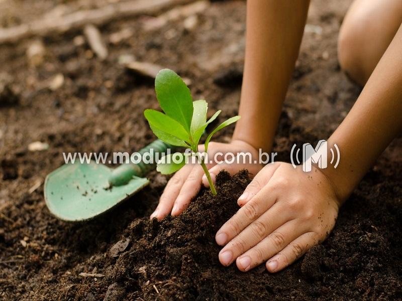 Rotary Brumado dos Pavões fará plantio de cem árvores...