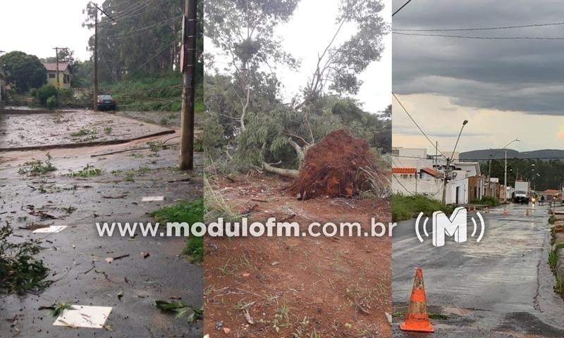Temporal com ventos fortes derruba árvores, danifica carros e interditada rodovia em Patrocínio