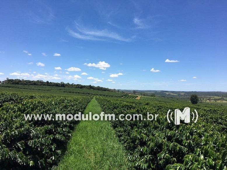 Associações ligadas a cafeicultura estão monitorando e demonstrando preocupação com o coronavírus na região