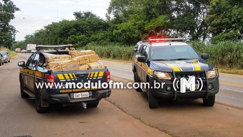 Mais de 800 quilos de maconha são apreendidos na BR-365