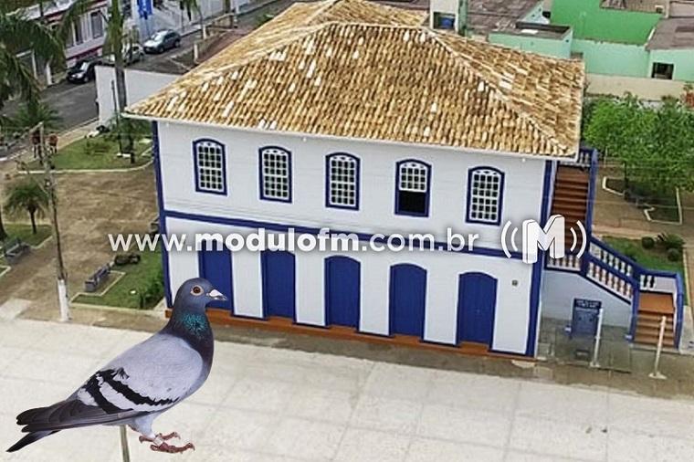 Secretaria de Cultura planeja adesivar parede de vidro do Museu para evitar colisões de pássaros