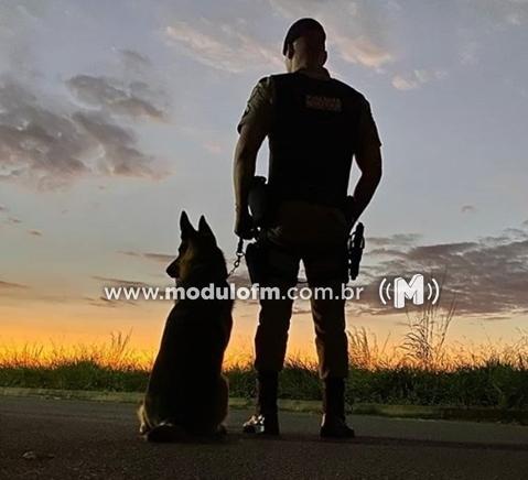 Com ajuda de cães farejadores quatro pessoas são presas suspeitas de tráfico de drogas