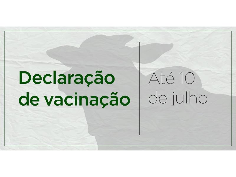 Termina hoje (10) prazo para declarar vacinação contra febre aftosa