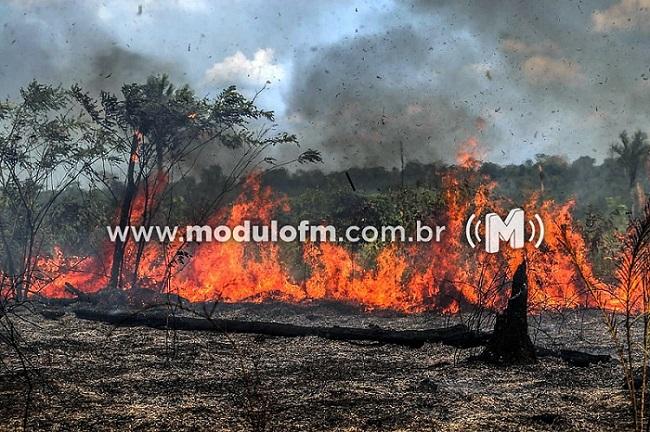 Alto Paranaíba teve mais de 400 incêndios florestais em...