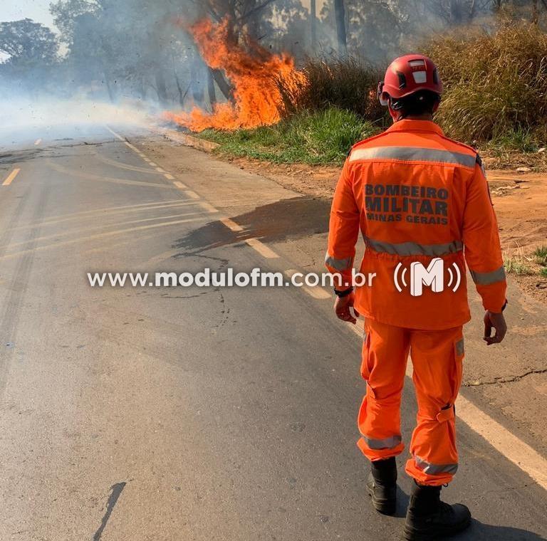Bombeiros se “desdobram” para conter vários incêndios ao mesmo tempo
