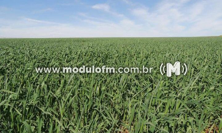 Produtores rurais devem declarar ITR e CCIR neste mês