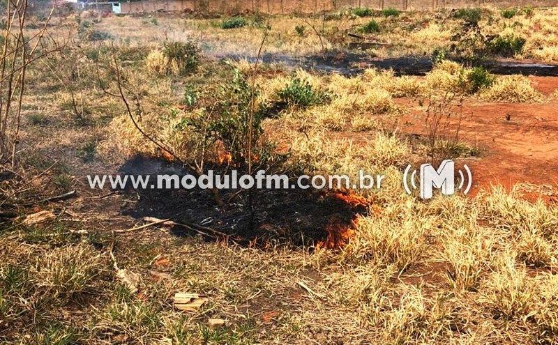 Homem é preso ao colocar fogo em área de pastagem com vegetação