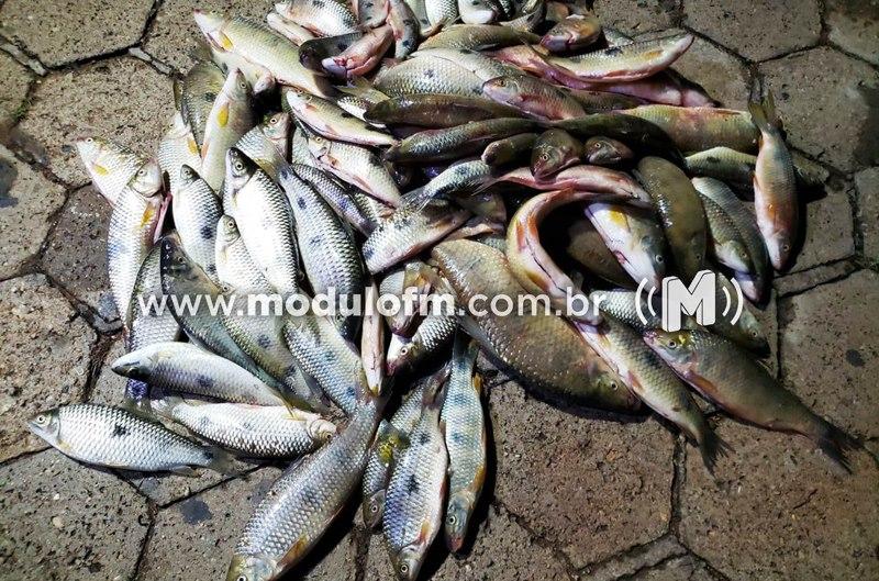 Dois homens são presos por transportar peixes capturados durante Piracema na MGC-462