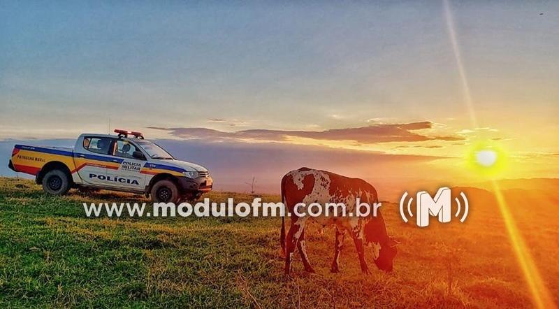 Discussão entre vizinhos termina com homem preso por porte de arma de fogo na zona rural