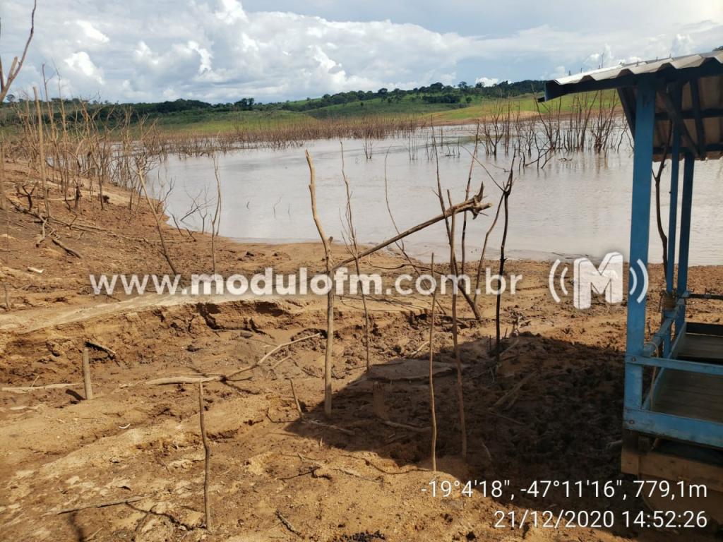 Imagem 1 do post Polícia Ambiental analisa causas da morte de grande quantidade de peixes na represa de Nova Ponte