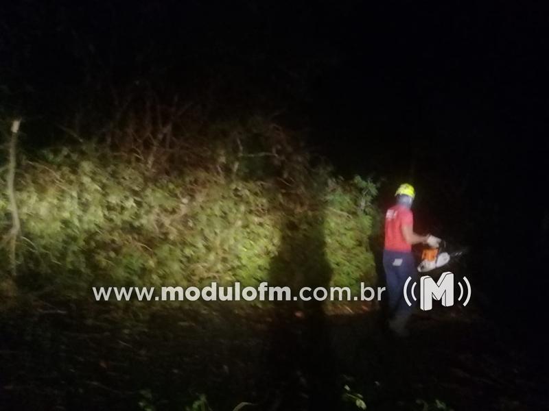 Temporal com ventos fortes derruba cerca de 30 árvores na MG-188 em Coromandel