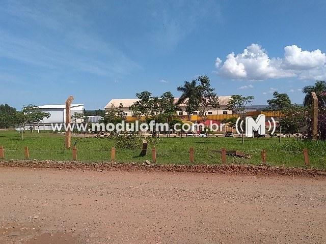 Vazamento de amônia é registrado na Pif Paf