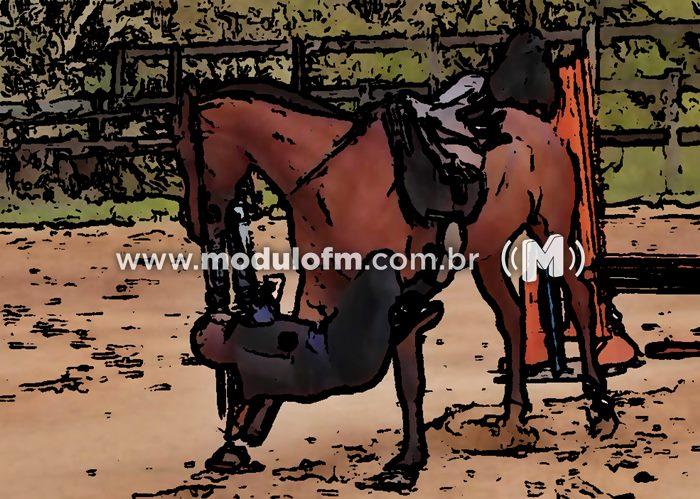 Criança é socorrida após cair de cavalo no bairro Enéas