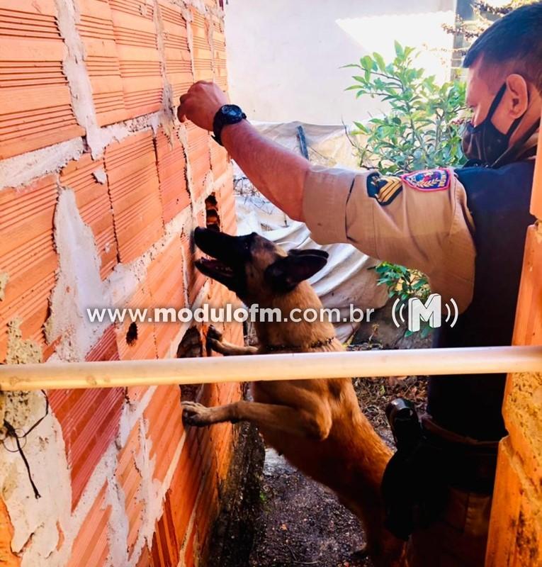 Cinco pessoas são presas e drogas são apreendidas no distrito de Pântano