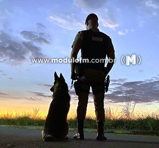 Com a ajuda de cão farejador, PM apreende drogas e prende jovem apontado como um dos principais responsáveis por furtos e roubos na zona rural de Patrocínio