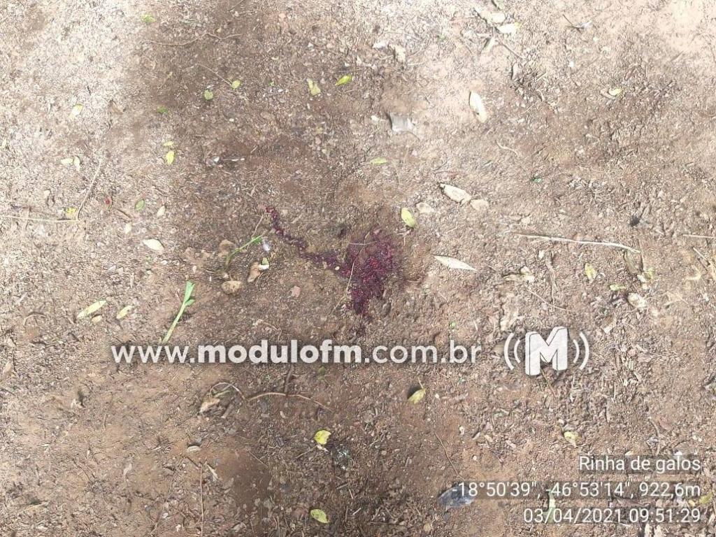 Imagem 5 do post Mais de 20 pessoas são presas em rinha de galo na zona rural de Patrocínio