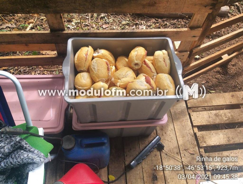Imagem 3 do post Mais de 20 pessoas são presas em rinha de galo na zona rural de Patrocínio