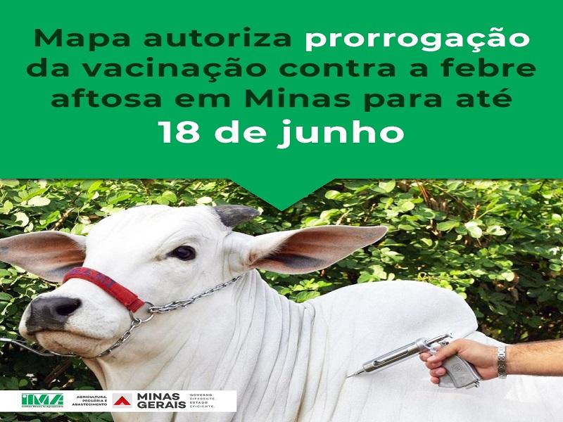Vacinação contra febre aftosa é prorrogada até 18 de junho em Minas Gerais