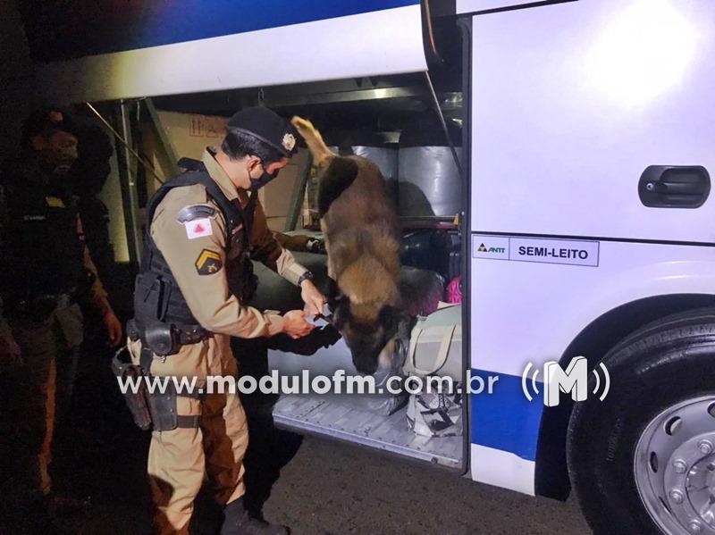 Cães da PM localizam maconha em malas dentro de ônibus na BR-365