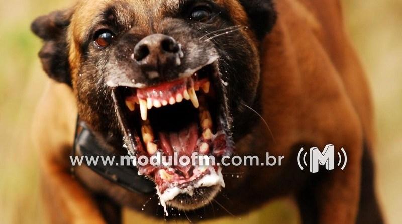 Ladrão é atacado por cachorro durante assalto em fazenda