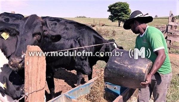 Alta de custos de produção preocupa produtores de leite