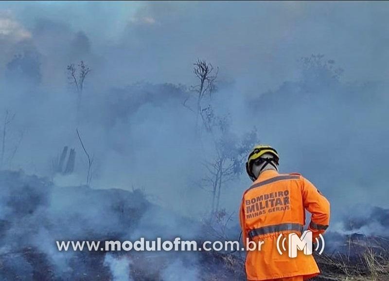 Força-tarefa é criada contra incêndios criminosos em Minas Gerais