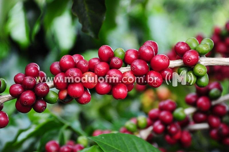 Classificados do Concurso Estadual de Qualidade dos Cafés de...