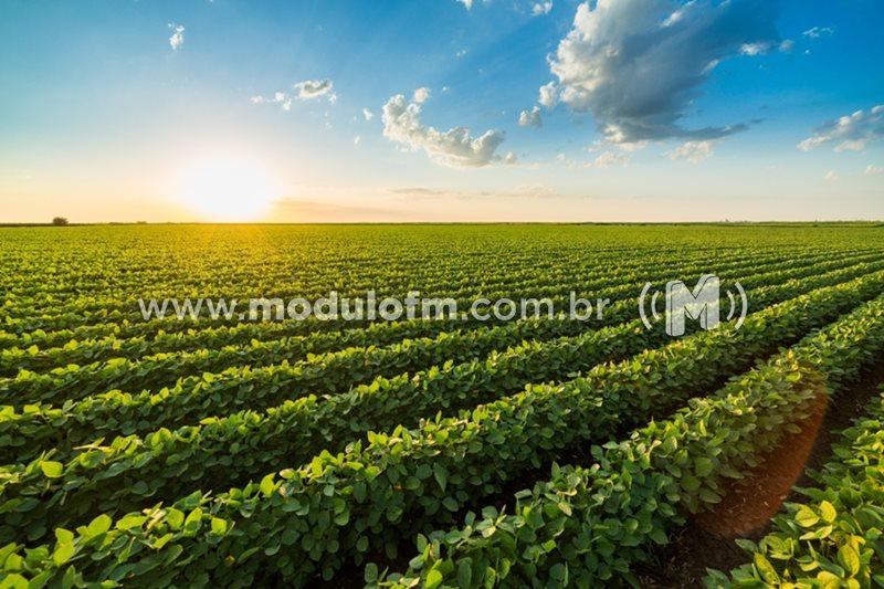 Brasil pode passar por falta de fertilizantes em 2022