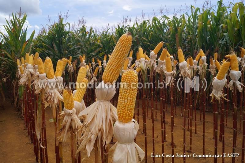 EASFP e UNICERP firmam parceria com a Bayer Monsanto para realizar pesquisa