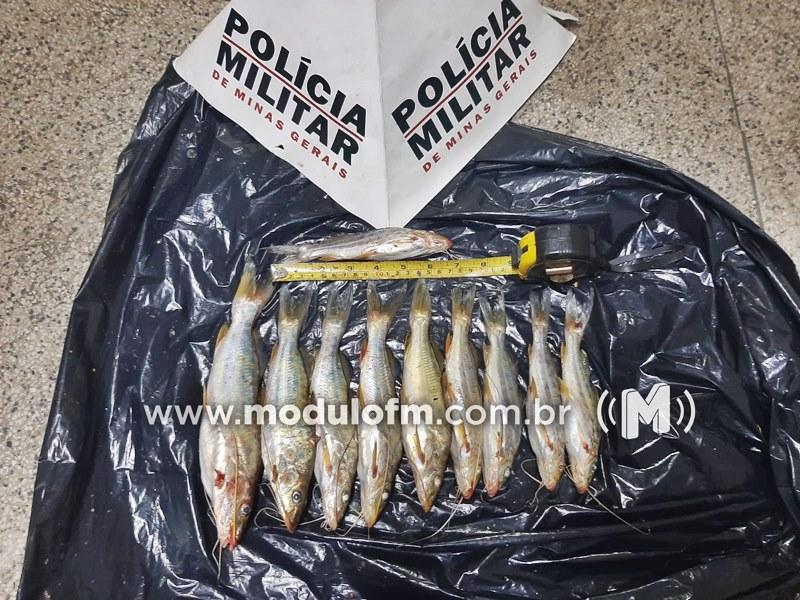 Pescador ignora piracema e vai preso com 2,5 kg de pescado em Patrocínio