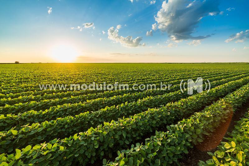 Vai faltar fertilizante em 2022?