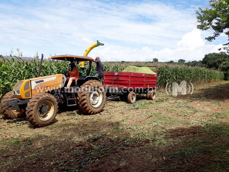 Secretaria de Agricultura iniciou serviço de silagem para pequenos produtores de Patrocínio