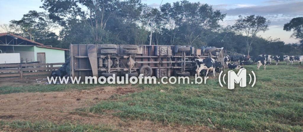 Imagem 2 do post Caminhoneiro diz que foi roubado, mas acaba preso por falsa comunicação de crime em Brejo Bonito