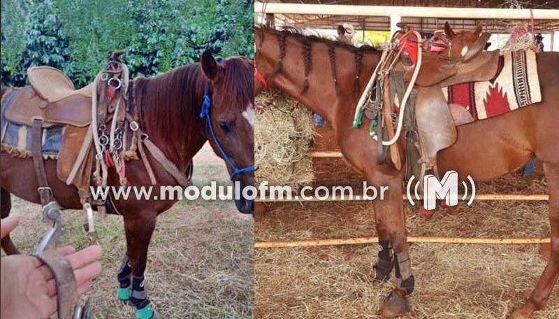 Fazenda é arrombada e dono tem prejuízo de R$20 mil em Patrocínio