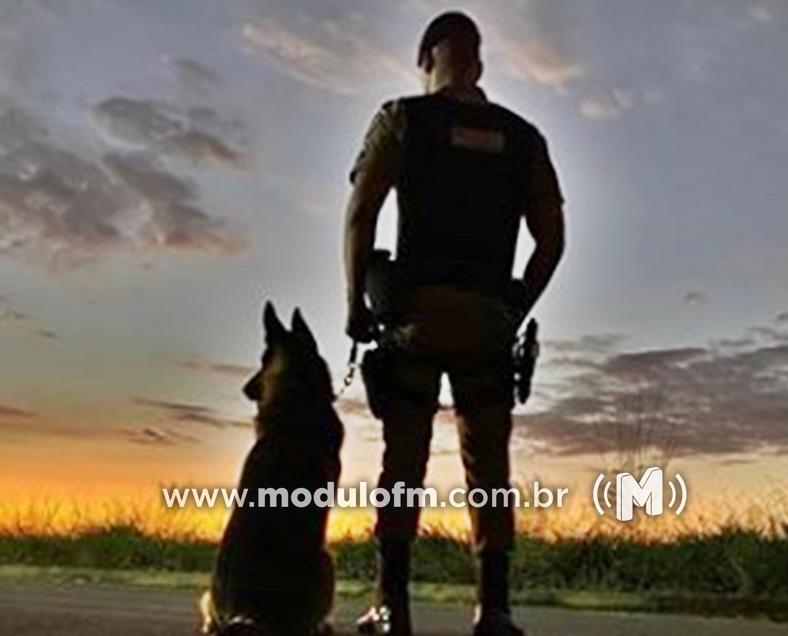 Com ajuda da cadela Pandora, PM encontra pedra bruta de crack e prende suspeito em Catiara