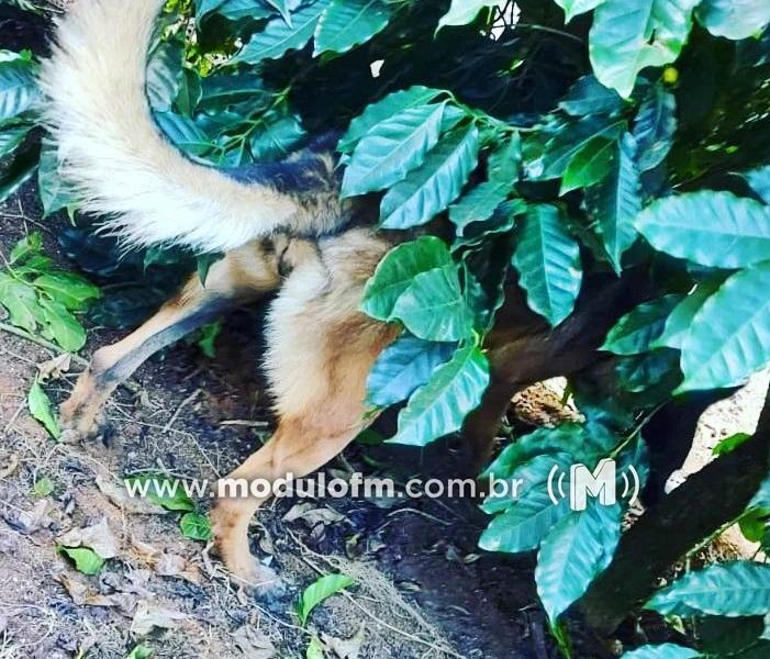 Imagem 1 do post PM cumpre mandados de busca e apreensão em Operação contra o tráfico de drogas na comunidade de Martins