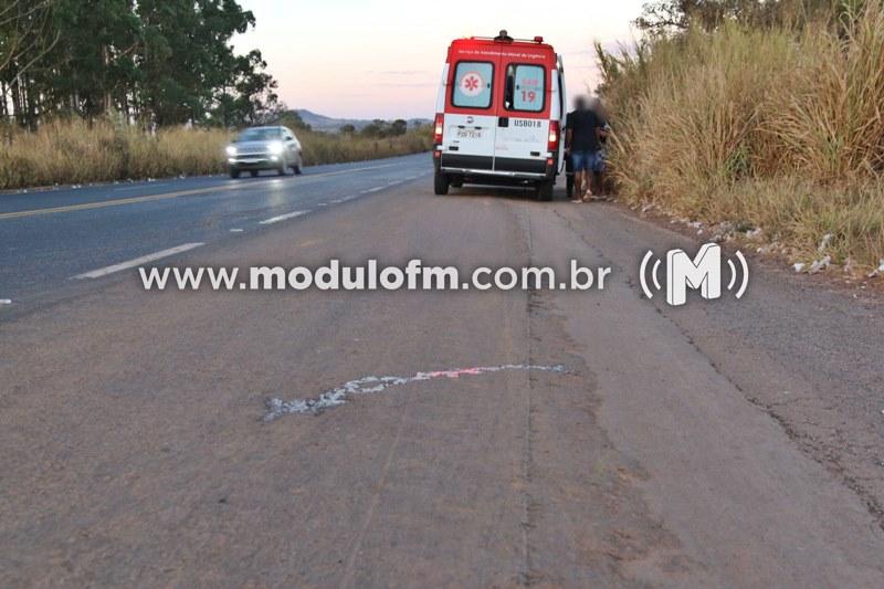 Imagem 2 do post Cão invade pista e provoca acidente na BR-365 em Patrocínio