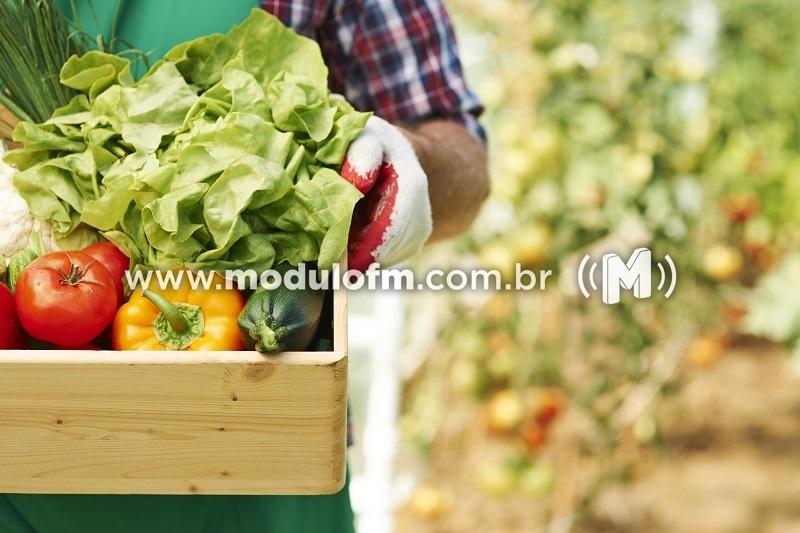 Prazo para emissão da Declaração de Aptidão ao Pronaf é prorrogado pelo Mapa