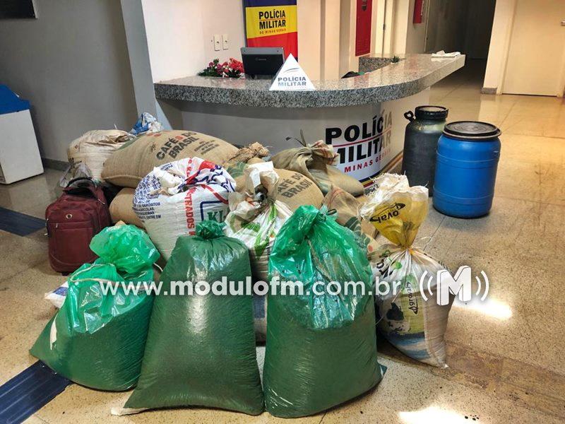 Imagem 2 do post Funcionários e receptador são presos após furto de café beneficiado em fazenda de Patrocínio
