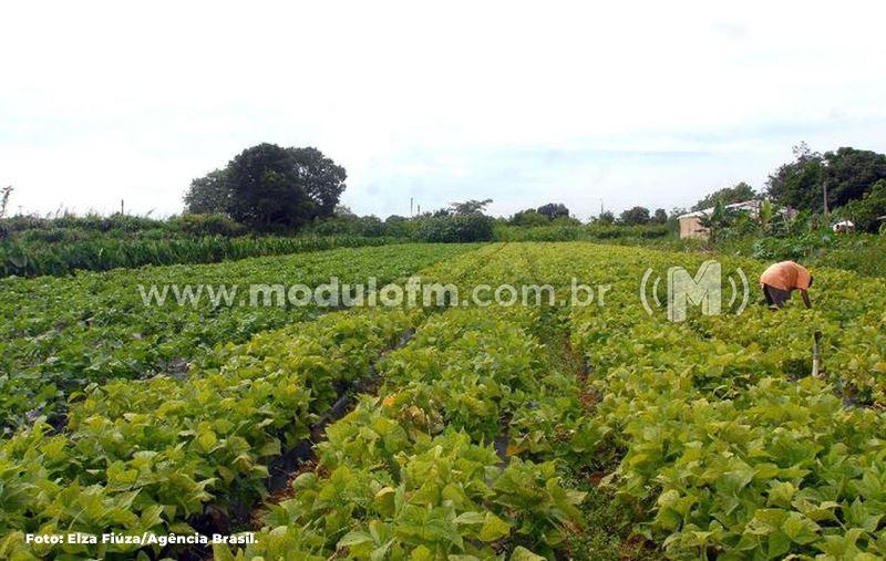 Prazo para declarar imposto sobre propriedade rural vai até...