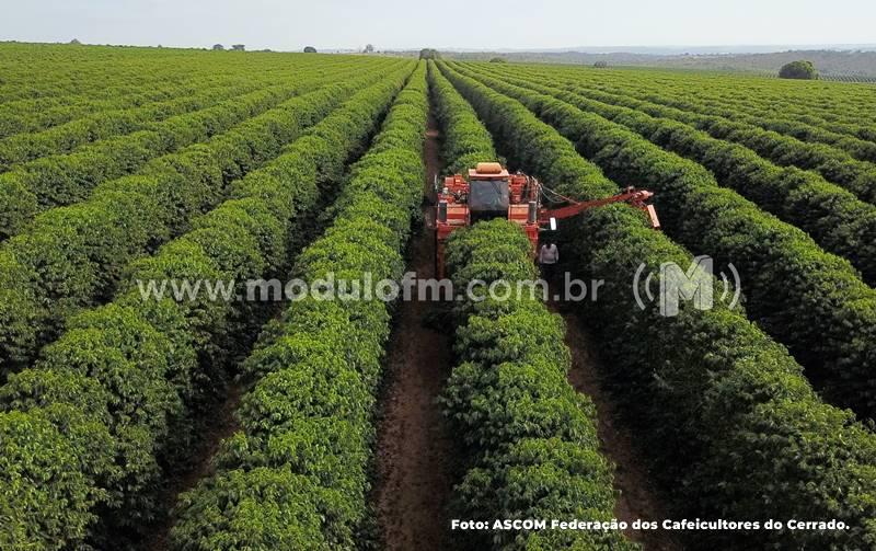 Inscrições da 10ª edição do Prêmio Região do Cerrado Mineiro estão abertas até 16 de setembro