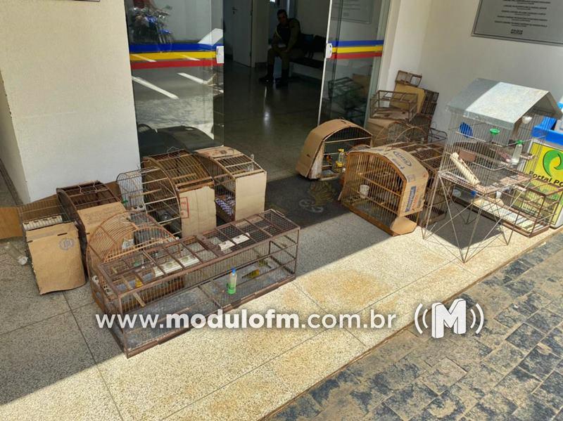 Idoso é flagrado com aves silvestres mantidas em cativeiro ilegal em Patrocínio