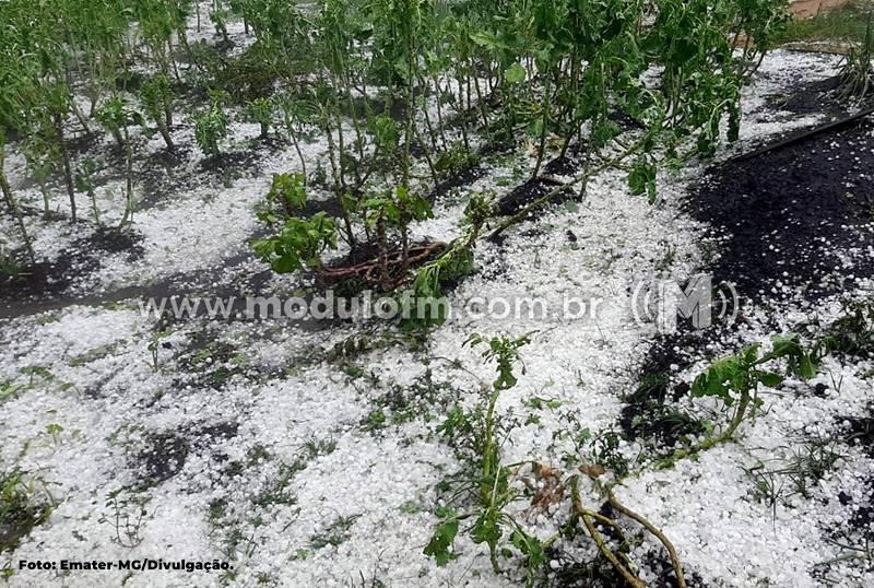 Emater recomenda produtores rurais atingidos pela chuva de granizo a procurarem ajuda técnica