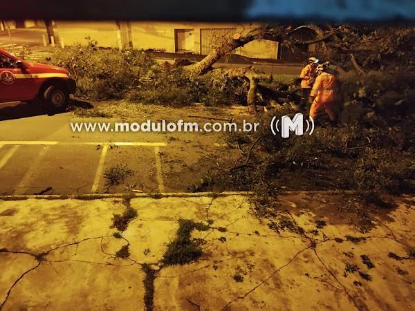 Imagem 7 do post A caótica situação da avenida Dom José André Coimbra volta a preocupar moradores após intenso temporal em Patrocínio.