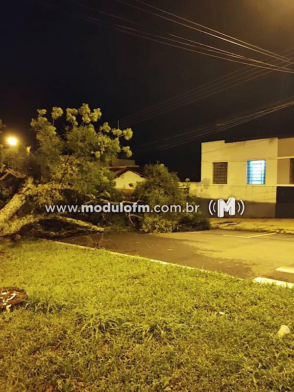 Imagem 6 do post A caótica situação da avenida Dom José André Coimbra volta a preocupar moradores após intenso temporal em Patrocínio.
