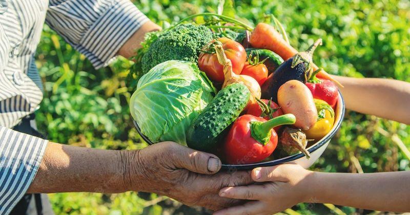 Agricultura familiar terá novo cadastro a partir desta terça-feira (1º)