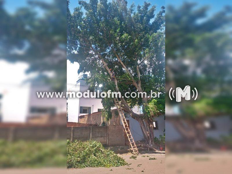 Homem sofre descarga elétrica enquanto podava árvore em Monte...